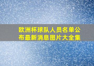 欧洲杯球队人员名单公布最新消息图片大全集