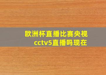 欧洲杯直播比赛央视cctv5直播吗现在