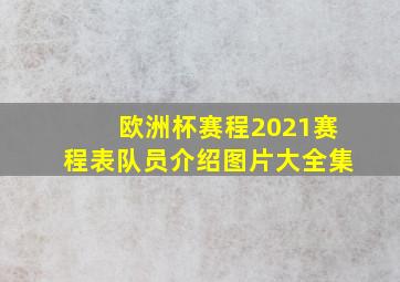 欧洲杯赛程2021赛程表队员介绍图片大全集