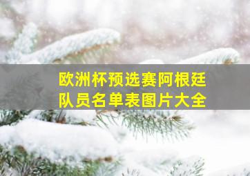 欧洲杯预选赛阿根廷队员名单表图片大全