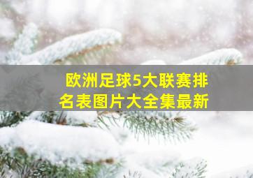 欧洲足球5大联赛排名表图片大全集最新