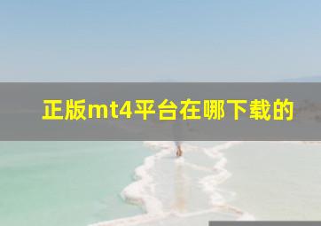 正版mt4平台在哪下载的