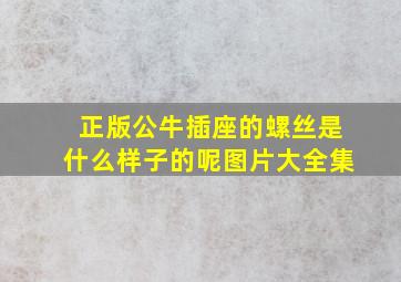 正版公牛插座的螺丝是什么样子的呢图片大全集