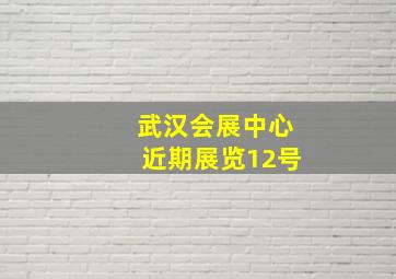 武汉会展中心近期展览12号