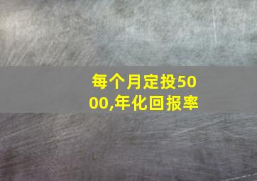 每个月定投5000,年化回报率