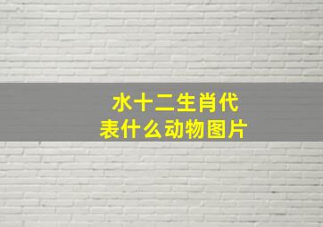 水十二生肖代表什么动物图片