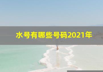 水号有哪些号码2021年