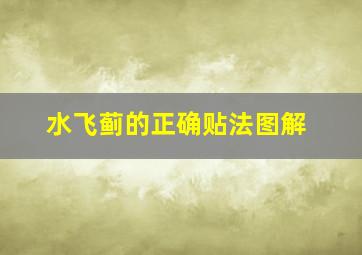 水飞蓟的正确贴法图解