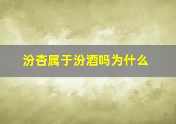 汾杏属于汾酒吗为什么