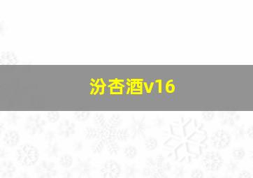 汾杏酒v16