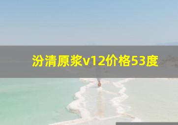 汾清原浆v12价格53度