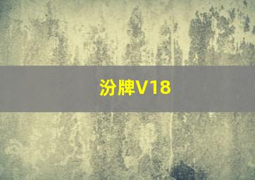 汾牌V18