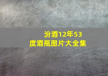 汾酒12年53度酒瓶图片大全集