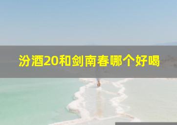 汾酒20和剑南春哪个好喝