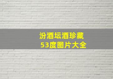 汾酒坛酒珍藏53度图片大全