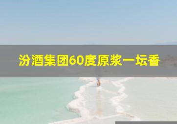 汾酒集团60度原浆一坛香