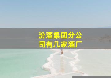 汾酒集团分公司有几家酒厂