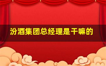 汾酒集团总经理是干嘛的