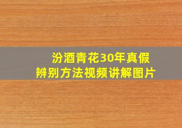 汾酒青花30年真假辨别方法视频讲解图片