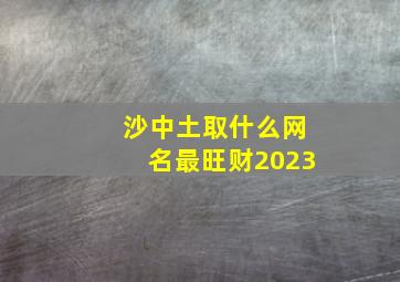 沙中土取什么网名最旺财2023