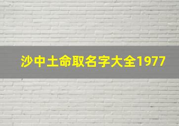 沙中土命取名字大全1977