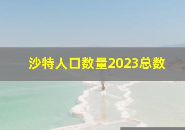 沙特人口数量2023总数