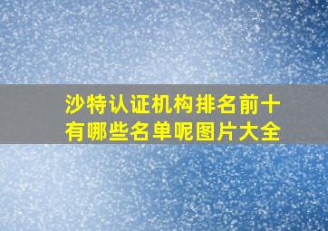 沙特认证机构排名前十有哪些名单呢图片大全