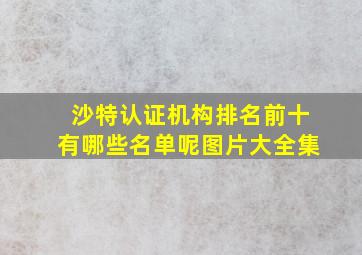 沙特认证机构排名前十有哪些名单呢图片大全集