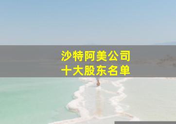 沙特阿美公司十大股东名单