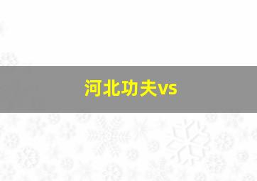 河北功夫vs