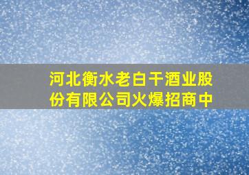 河北衡水老白干酒业股份有限公司火爆招商中