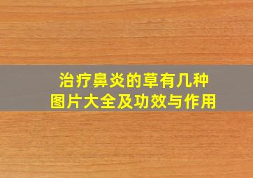 治疗鼻炎的草有几种图片大全及功效与作用