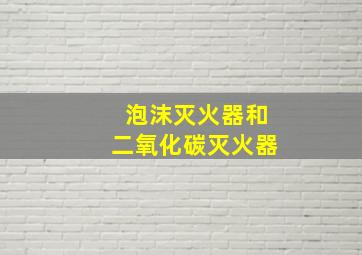 泡沫灭火器和二氧化碳灭火器