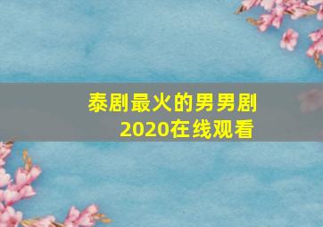 泰剧最火的男男剧2020在线观看