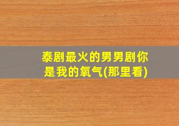 泰剧最火的男男剧你是我的氧气(那里看)