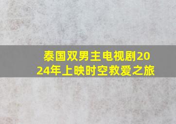 泰国双男主电视剧2024年上映时空救爱之旅