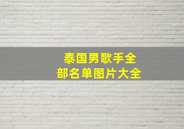 泰国男歌手全部名单图片大全