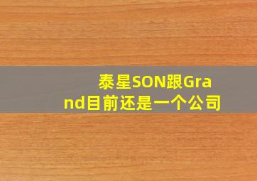 泰星SON跟Grand目前还是一个公司