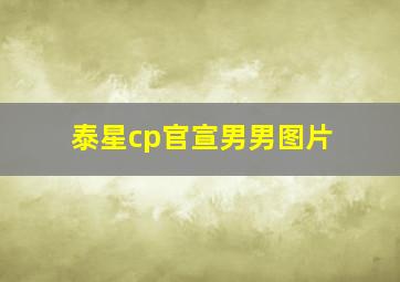 泰星cp官宣男男图片