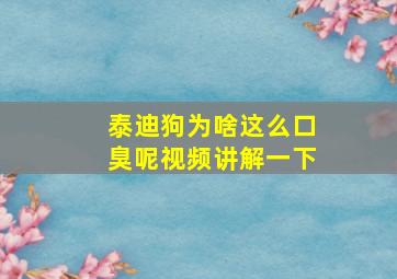 泰迪狗为啥这么口臭呢视频讲解一下