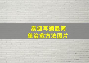 泰迪耳螨最简单治愈方法图片