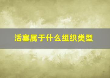 活塞属于什么组织类型