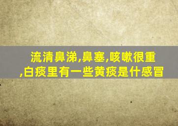 流清鼻涕,鼻塞,咳嗽很重,白痰里有一些黄痰是什感冒