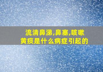 流清鼻涕,鼻塞,咳嗽黄痰是什么病症引起的