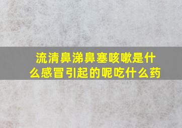 流清鼻涕鼻塞咳嗽是什么感冒引起的呢吃什么药