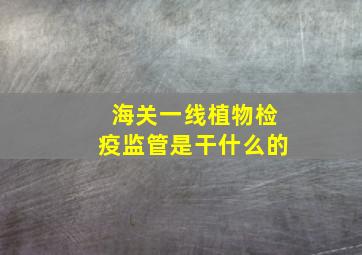 海关一线植物检疫监管是干什么的