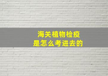 海关植物检疫是怎么考进去的