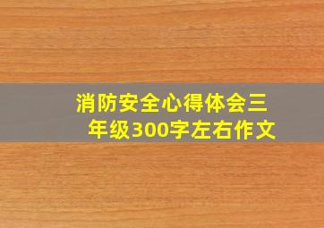 消防安全心得体会三年级300字左右作文