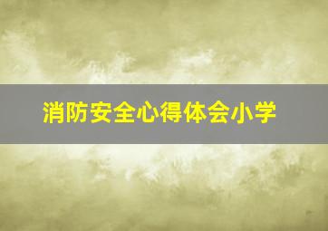 消防安全心得体会小学