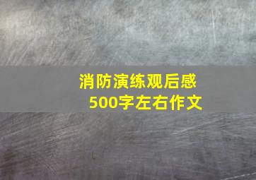 消防演练观后感500字左右作文